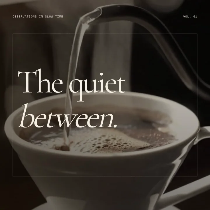 Cinematic editorial motion preview